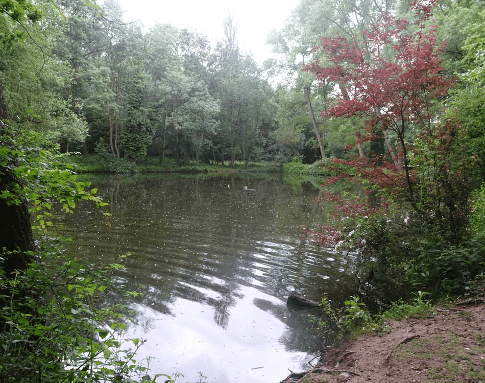 Clay End Lake View 2