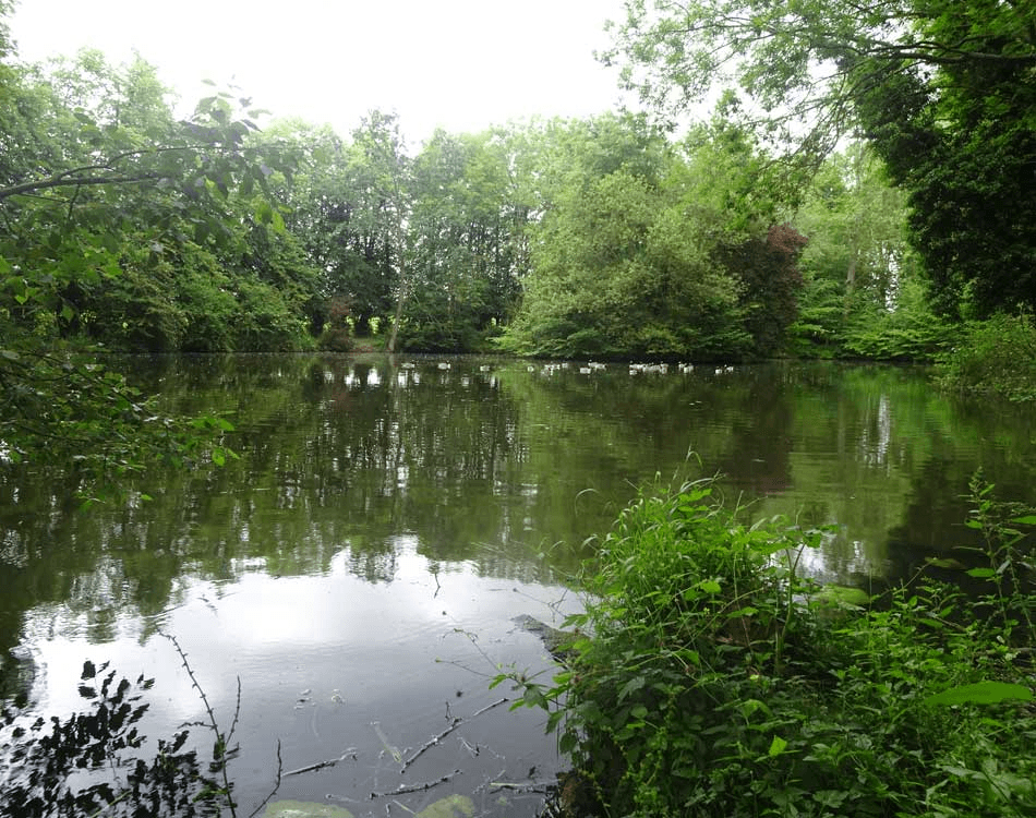 Clay End Lake View 3