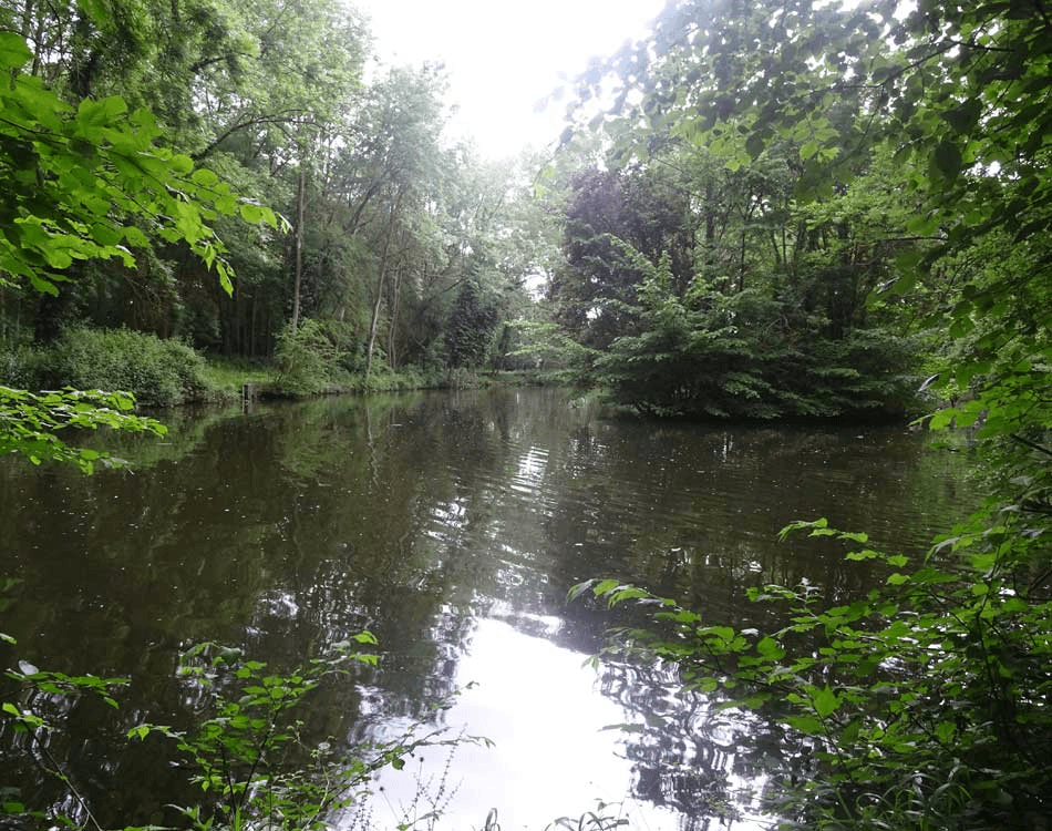 Clay End Lake View 5
