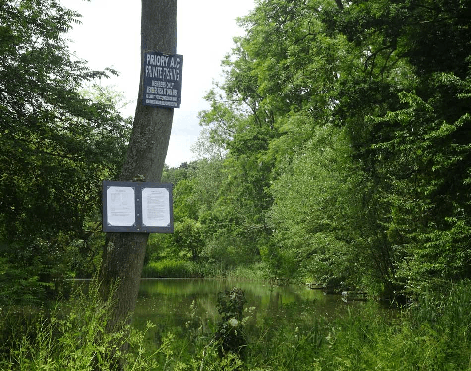 Warrens Green View 1