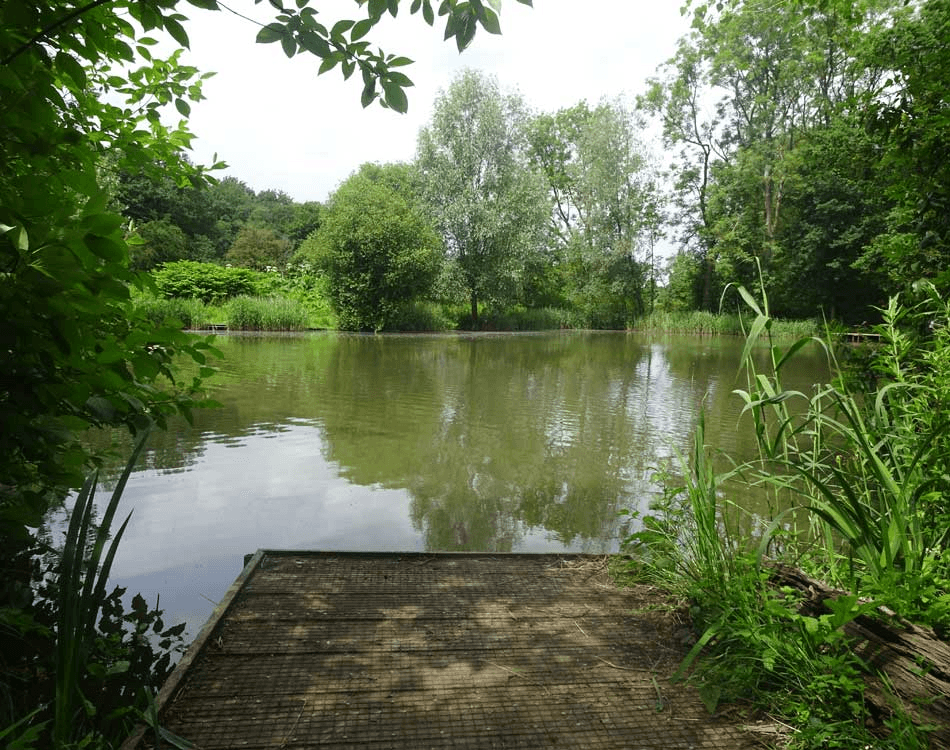 Warrens Green View 2