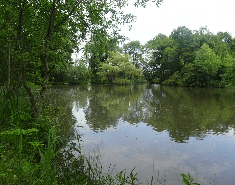 Warrens Green View 3