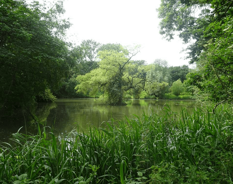 Warrens Green View 4