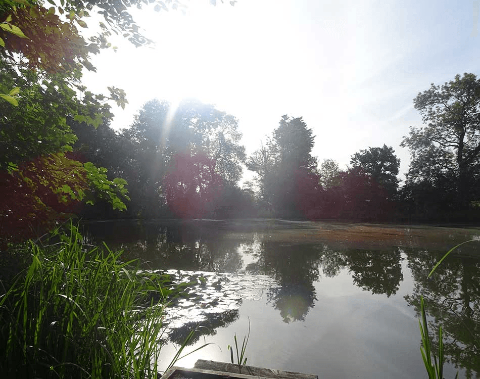 Weston Lake View 2