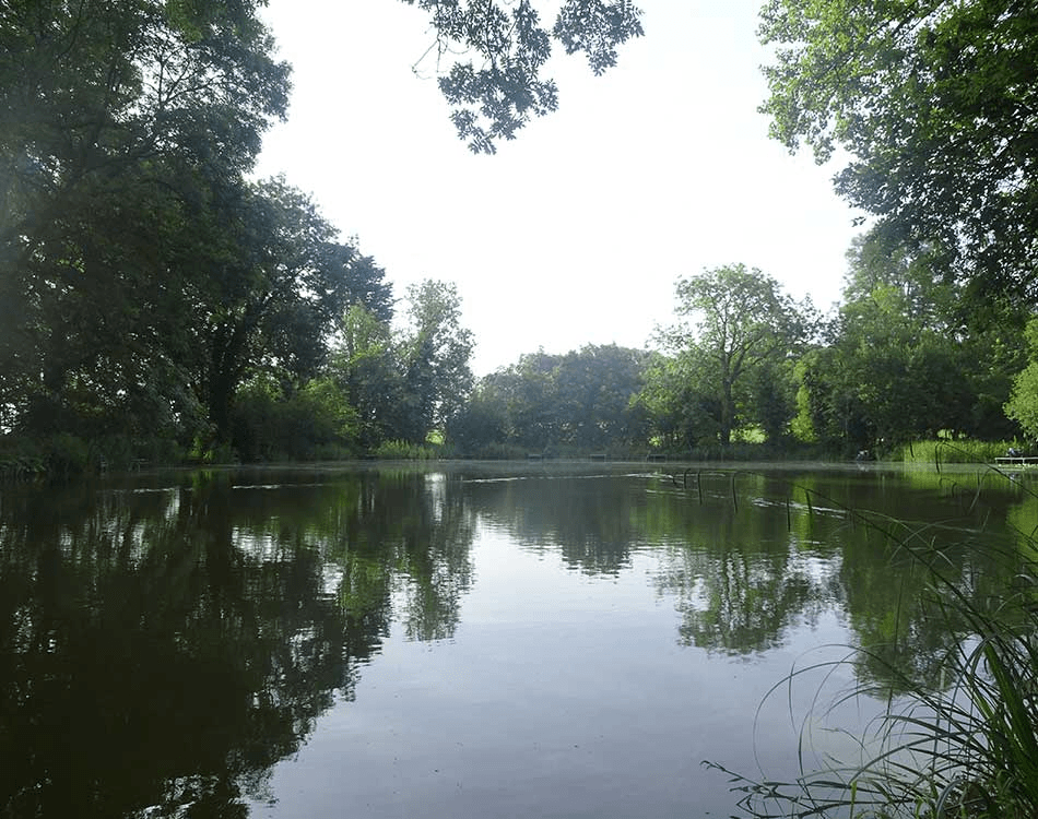 Weston Lake View 3