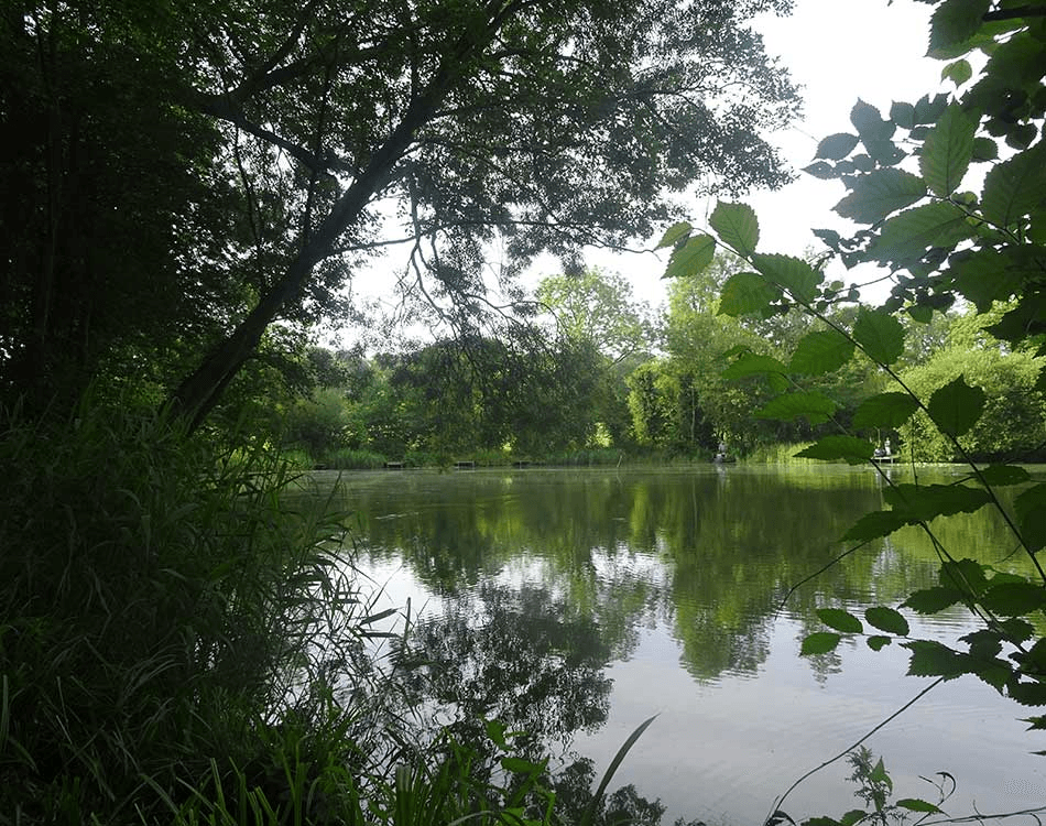 Weston Lake View 4