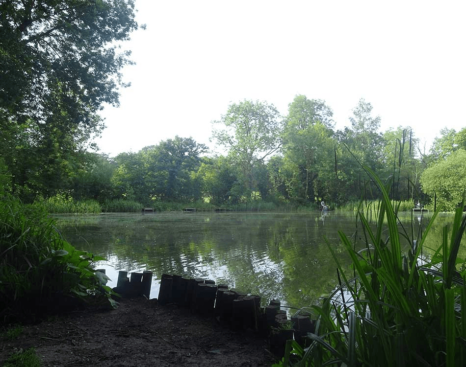 Weston Lake View 5