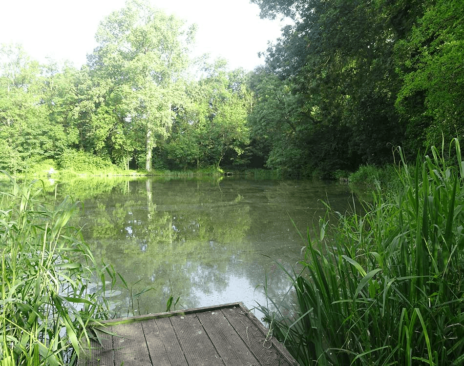 Weston Lake View 6